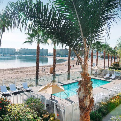 A sunny beachside resort with a pool, palm trees, lounge chairs, umbrellas, and a calm ocean in the background.