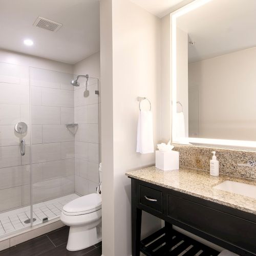 A modern bathroom with a glass shower, toilet, and a vanity with a mirror and granite countertop.
