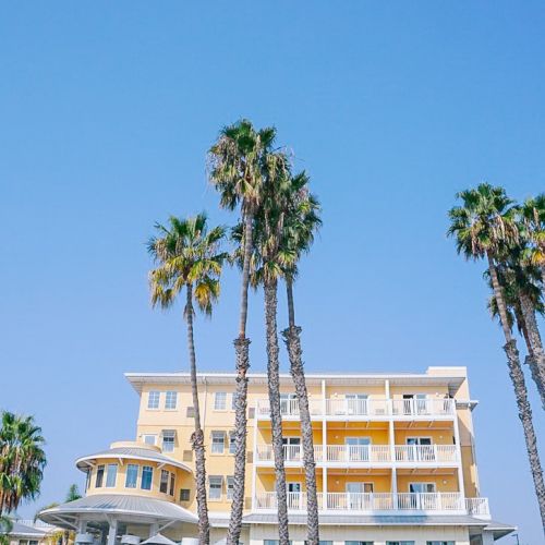 A beachfront building with balconies is surrounded by tall palm trees under a clear blue sky.